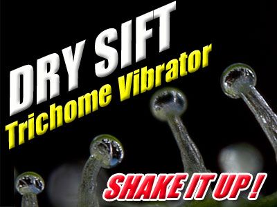 Dry Sift Screen, Wacky Bouncer, Dry Sift Vibrator