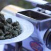 Commercial Weed Grinder - Image 18