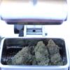 Commercial Weed Grinder - Image 19