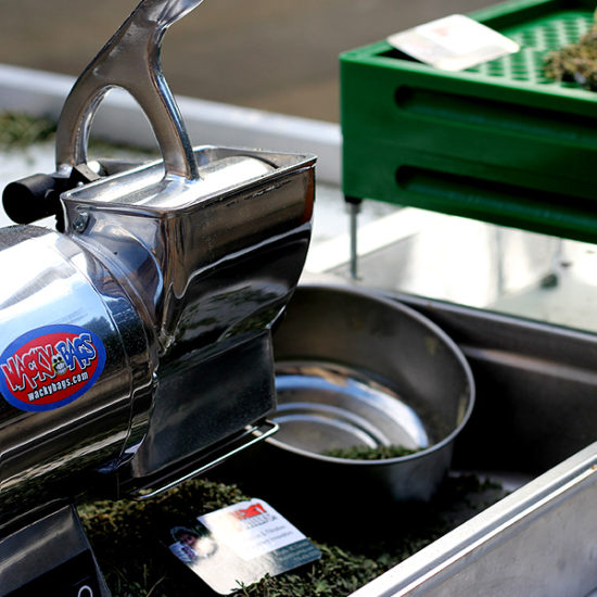 Wacky Weed Grinder Wacky Willys