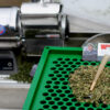 Commercial Weed Grinder - Image 6